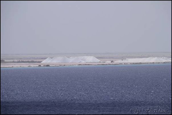 Bonaire002.jpg