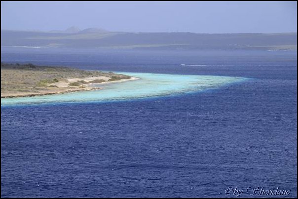 Bonaire003.jpg