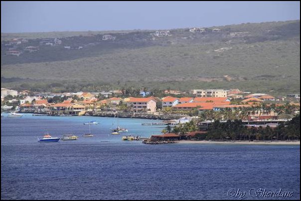 Bonaire005.jpg
