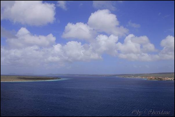 Bonaire006.jpg