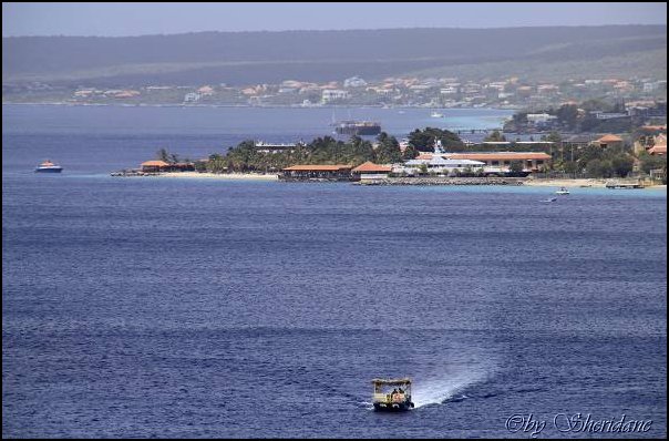 Bonaire011.jpg