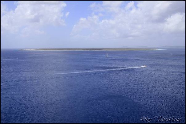Bonaire012.jpg