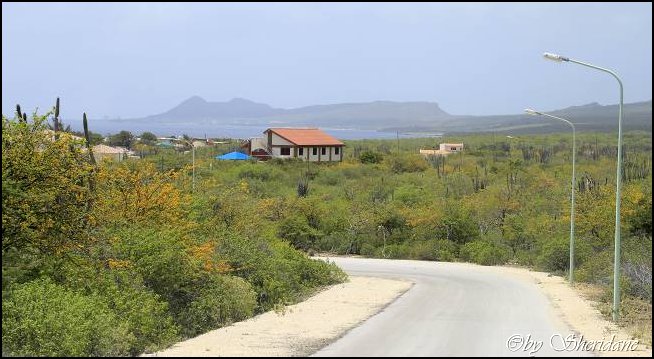 Bonaire019.jpg