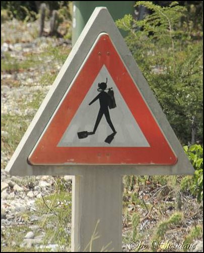 Bonaire021.jpg