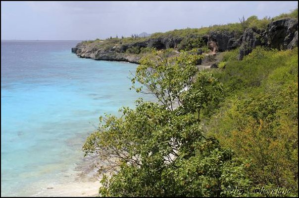 Bonaire025.jpg