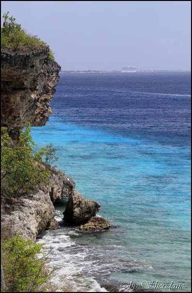 Bonaire026.jpg