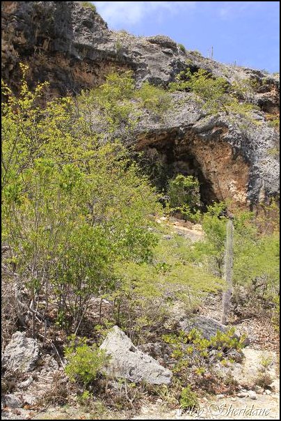 Bonaire031.jpg