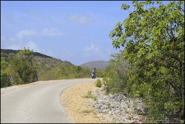 Bonaire033.jpg