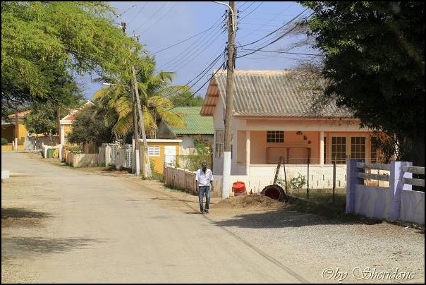 Bonaire054.jpg