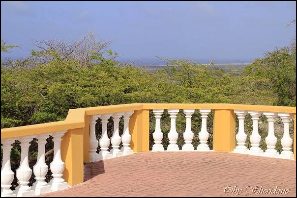 Bonaire061.jpg