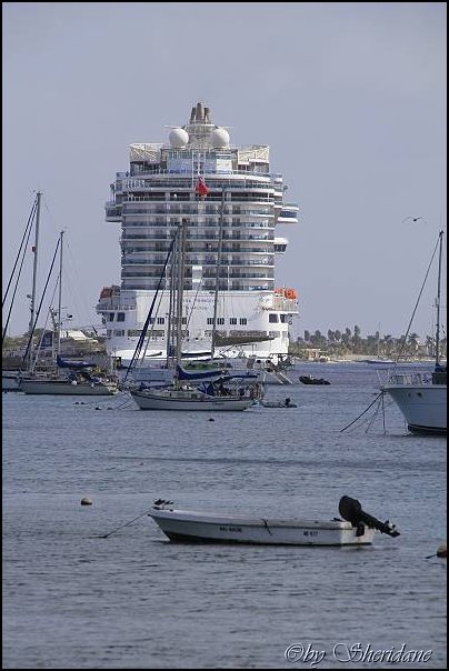 Bonaire063.jpg