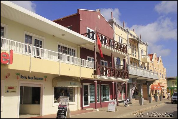 Bonaire064.jpg
