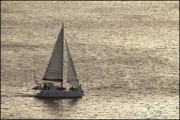 Bonaire067.jpg