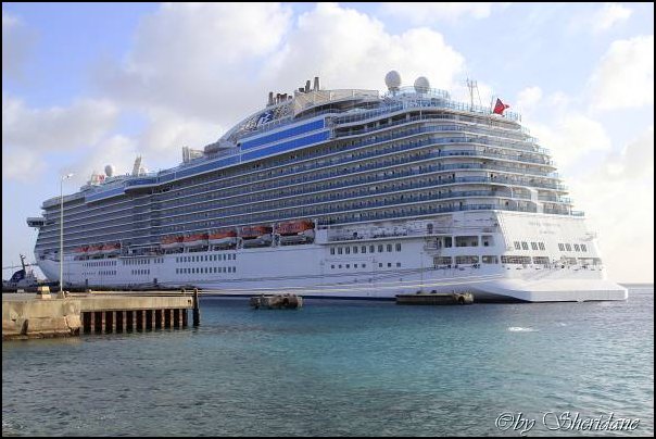 Bonaire068.jpg
