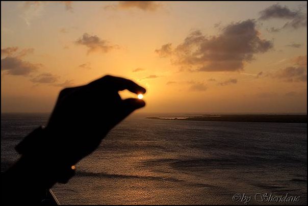 Bonaire073.jpg