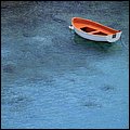 Bonaire009.jpg