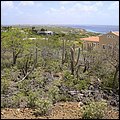 Bonaire014.jpg
