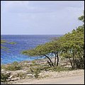 Bonaire020.jpg