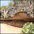 Bonaire022.jpg