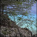 Bonaire023.jpg