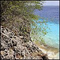 Bonaire024.jpg