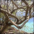 Bonaire028.jpg