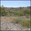 Bonaire029.jpg