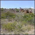 Bonaire030.jpg
