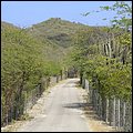 Bonaire034.jpg