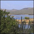 Bonaire035.jpg