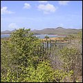 Bonaire036.jpg
