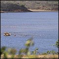 Bonaire037.jpg