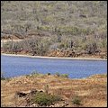 Bonaire038.jpg