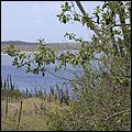 Bonaire042.jpg