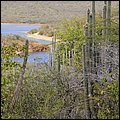 Bonaire043.jpg