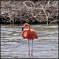 Bonaire044.jpg