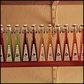 Bonaire052.jpg