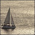 Bonaire067.jpg