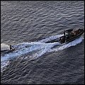 Bonaire069.jpg