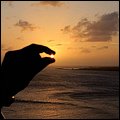 Bonaire073.jpg