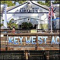 KeyWest037.jpg