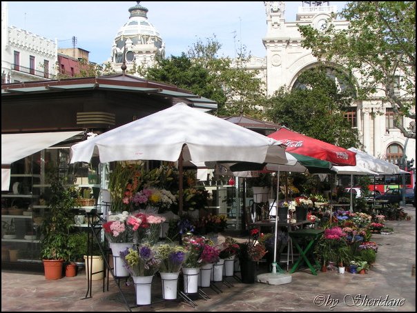 Valencia005.jpg