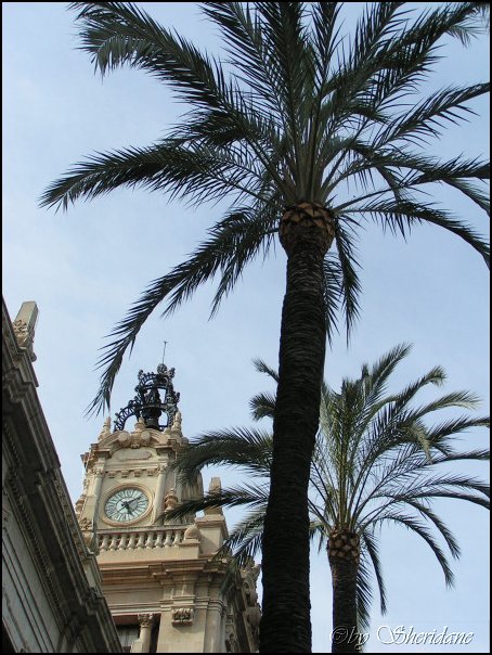 Valencia007.jpg
