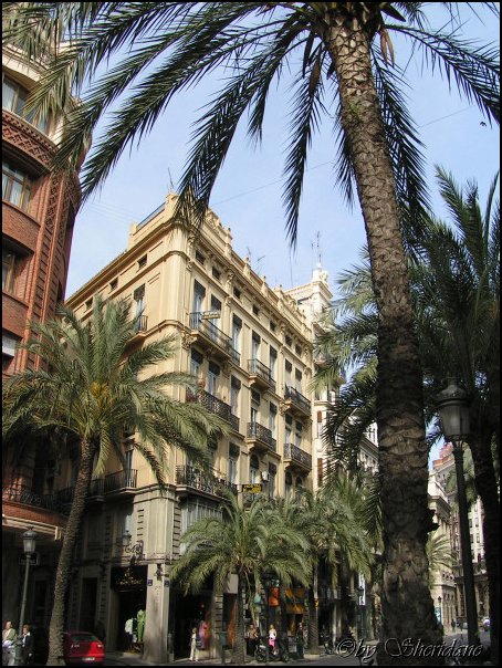 Valencia008.jpg