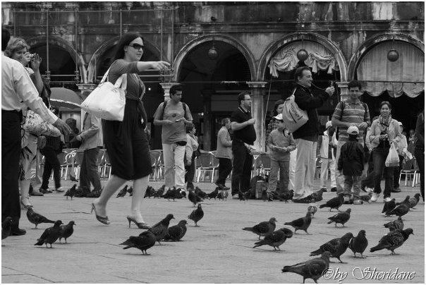Venedig0047.jpg