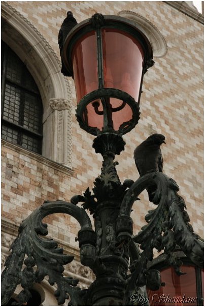 Venedig0049.jpg