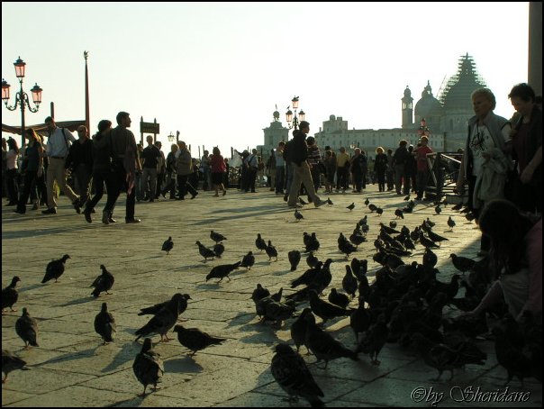 Venedig101.jpg