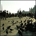 Venedig101.jpg