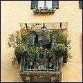 Venedig124.jpg