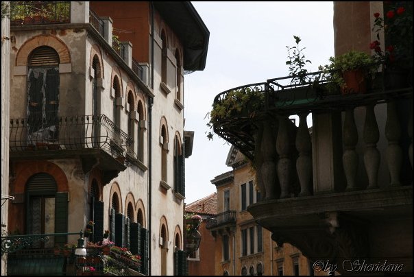 Venedig007.jpg
